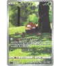 Voltorbe 173/172 Jap