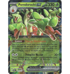 Pomdorochi ex 011/131