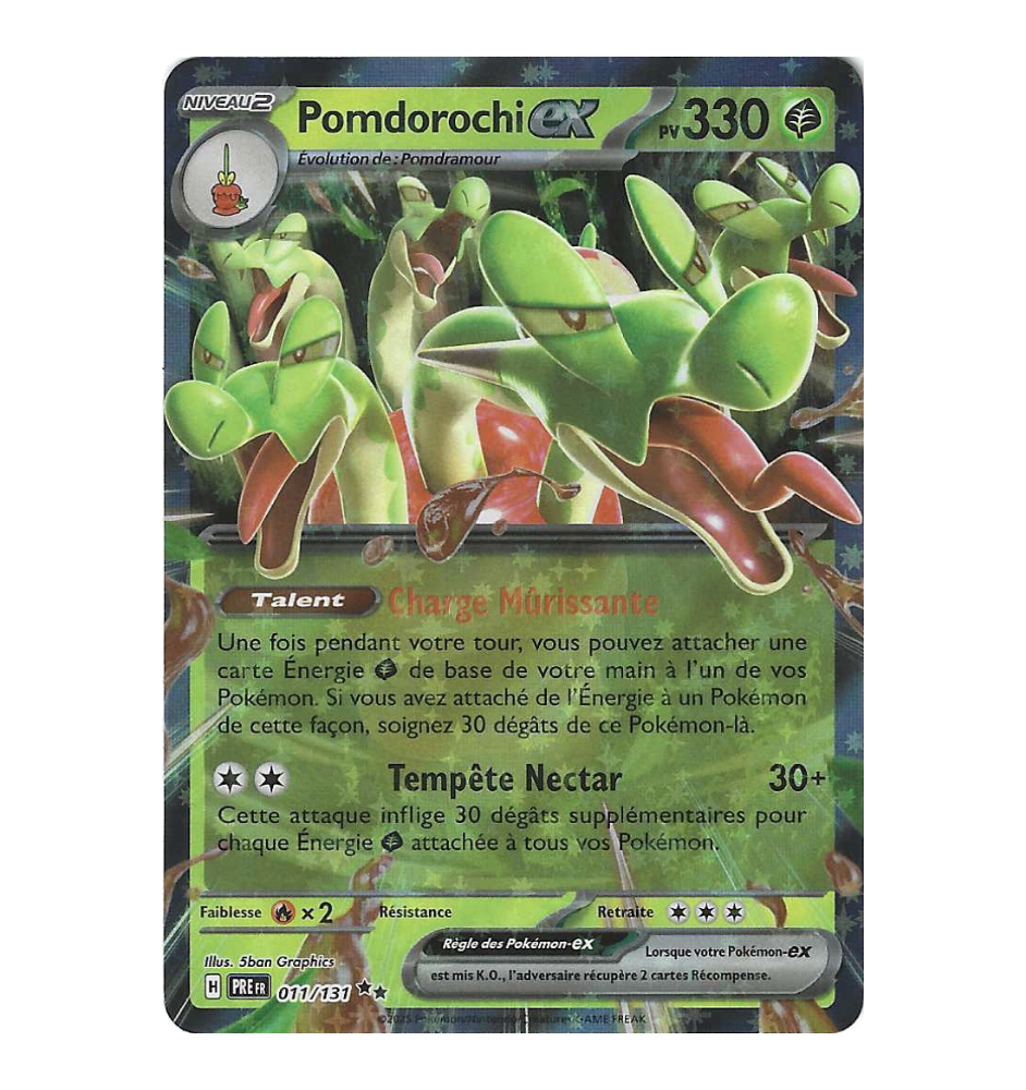 Pomdorochi ex 011/131