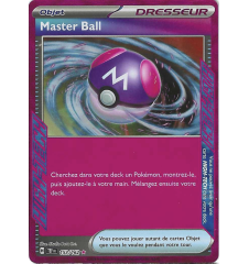 Dresseur master Ball 153/162