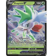 Shaymin V 013/172