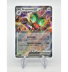 Bruyverne ex 091/131