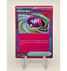 Dresseur master Ball 153/162