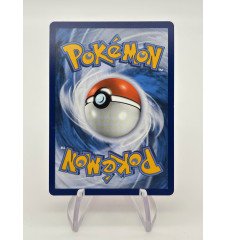 Dresseur master Ball 153/162