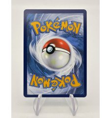 Electrode de Hisui V 172/196