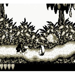 Game boy Donkey Kong Loose Noe