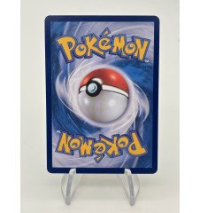 Zorua 108/100 Ch