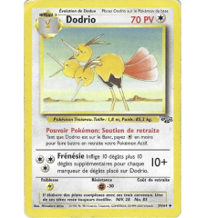 Dodrio 34/64