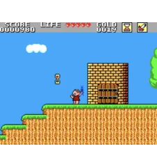 Master System Wonder Boy Loose