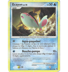 Ecayon 61/100