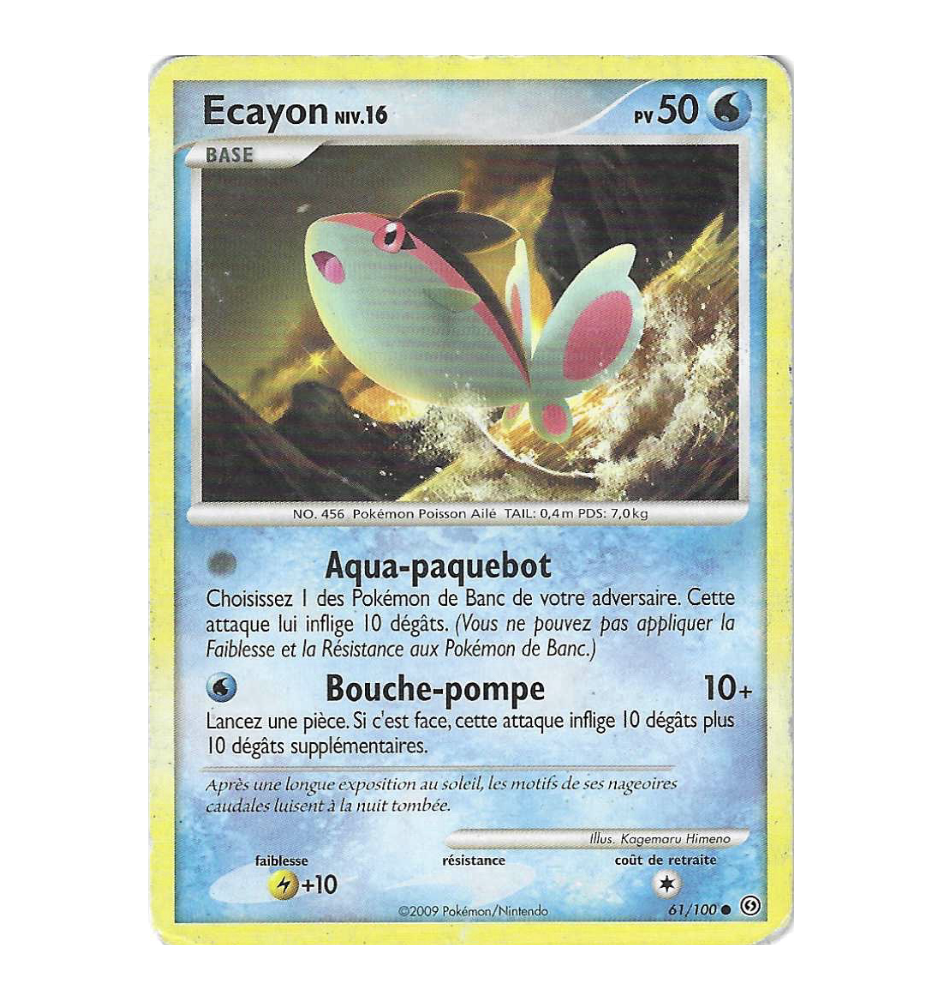 Ecayon 61/100