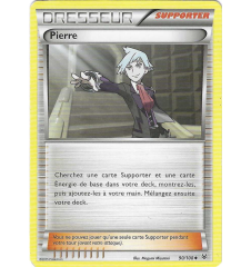 Dresseur Pierre 90/108