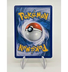 Dresseur Attrape-Pokemon 36/39