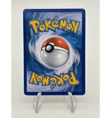 Dresseur Attrape-Pokemon 36/39