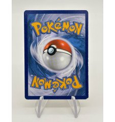 Dresseur Dame Du Centre Pokémon 93/106