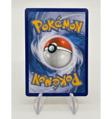 Dresseur Fan Club Pokemon 94/106