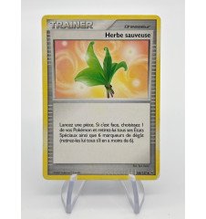 Trainer Herbe Sauveuse 108/127