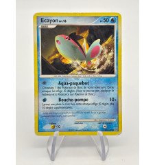 Ecayon 61/100