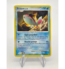 Ecayon 61/100