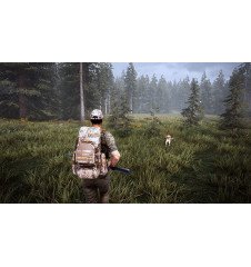 PS4 Hunting Simulator