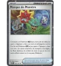 Dresseur Masque De Monstre 159/167 Cosmo Holo