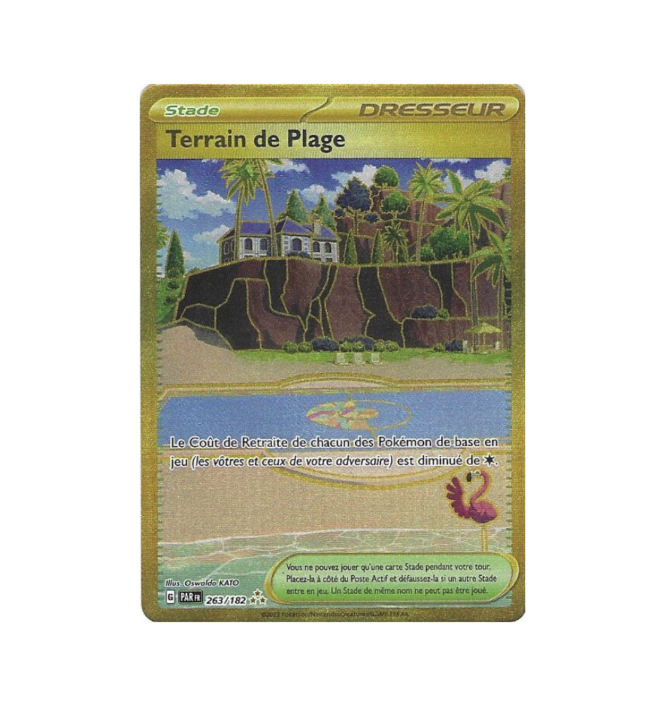 Dresseur Terrain De Plage 263/182