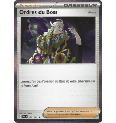 Dresseur Ordre Du Boss 172/193 Holo