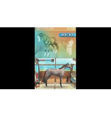 DS Alexandra ledermann Loose Eur