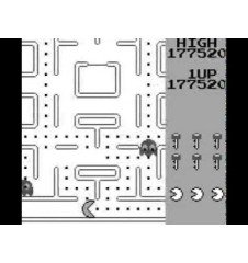 Game boy Pac-Man loose USA
