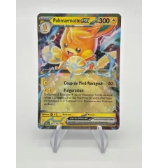 Pohmarmotte Ex 073/197