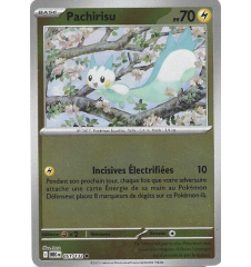 Pachirisu 051/132 Reverse