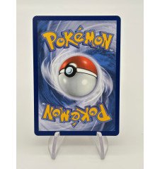 Méga-Gardevoir Ex 060/132