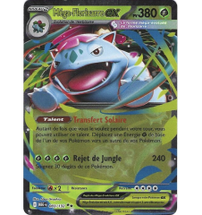 Méga-Florizarre Ex 003/132