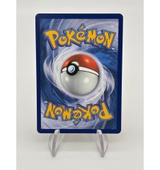 Méga-Lucario Ex 077/132