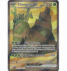 Chongjian Ex 232/193
