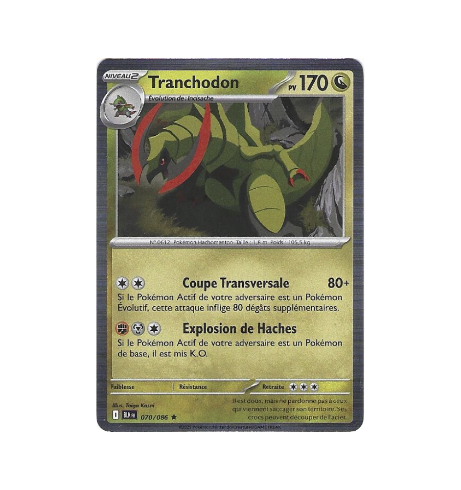 Tranchodon 070/086 Holo