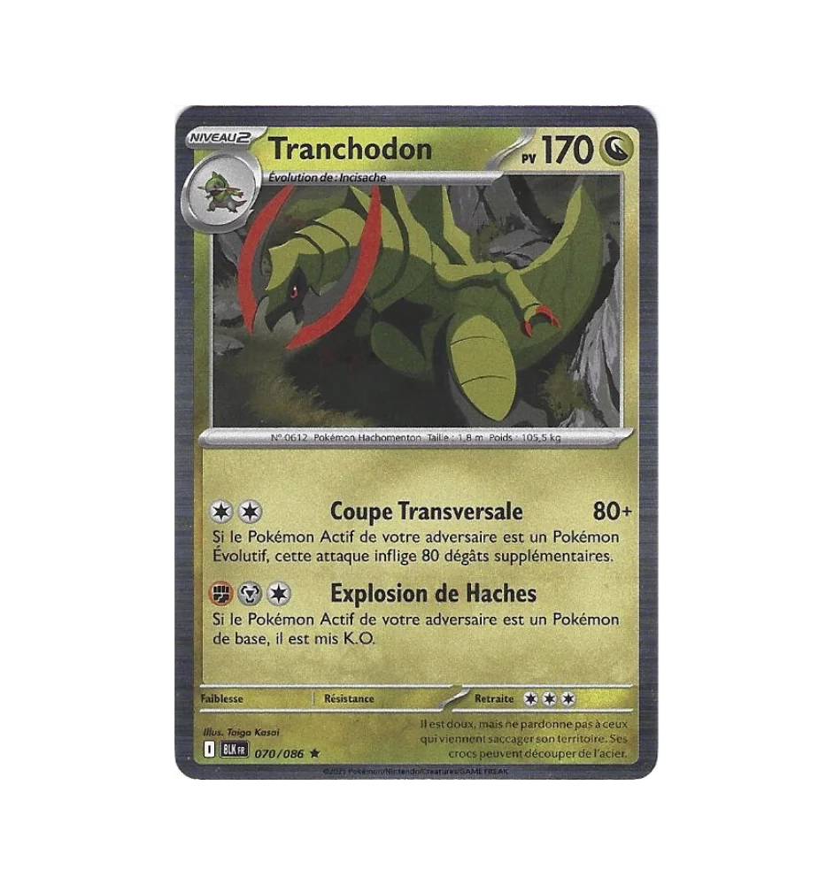 Tranchodon 070/086 Holo