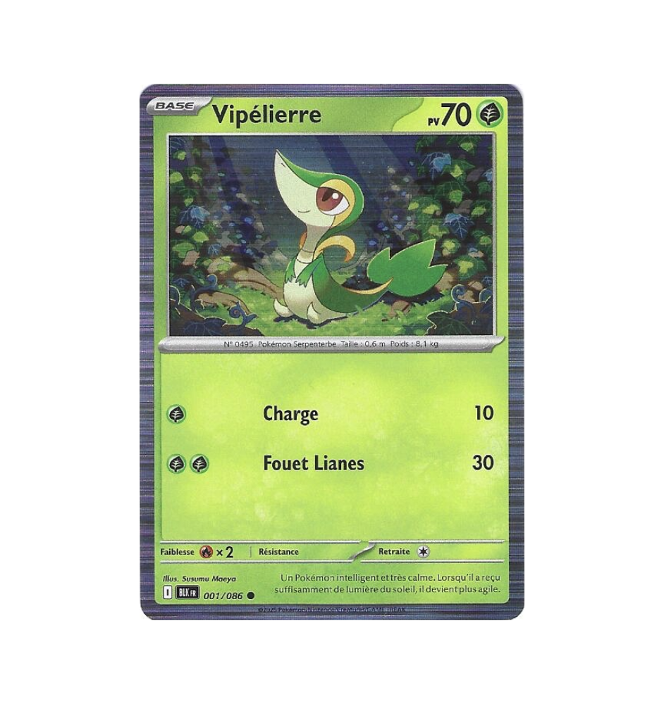 Vipélierre 001/086 Holo