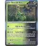 Vert-De-Fer 019/167 Holo