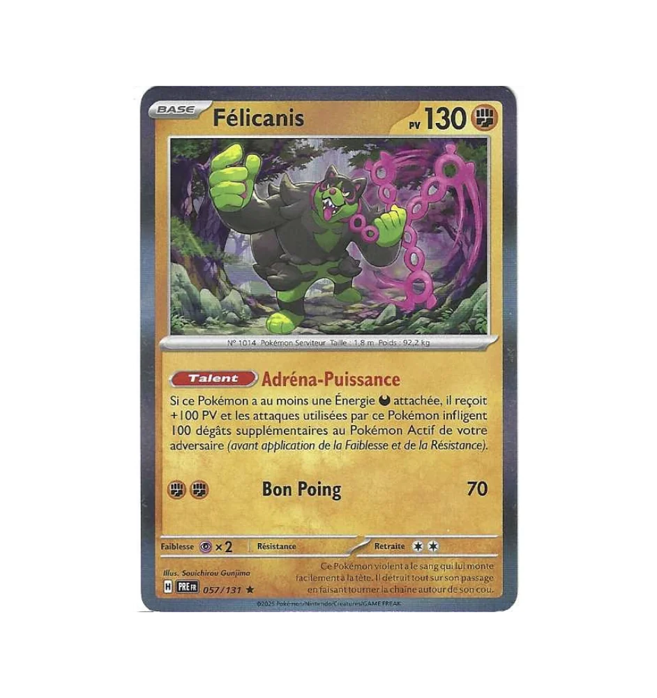 Félicanis 057/131 Holo