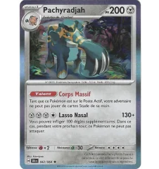 Pachyradjah 042/064 holo
