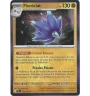 Floréclat 126/193 Holo