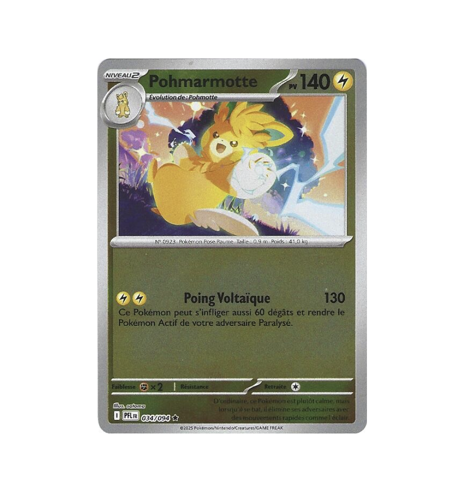 Pohmarmotte 034/094 Reverse