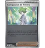 Dresseur Compassion De Timmy 132/132 Reverse MEG Méga-Evolution