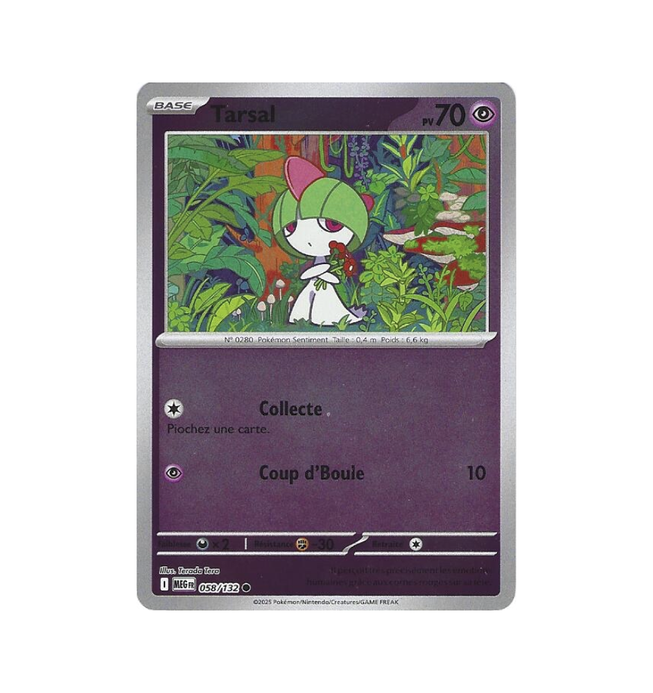 Tarsal 058/132 Reverse