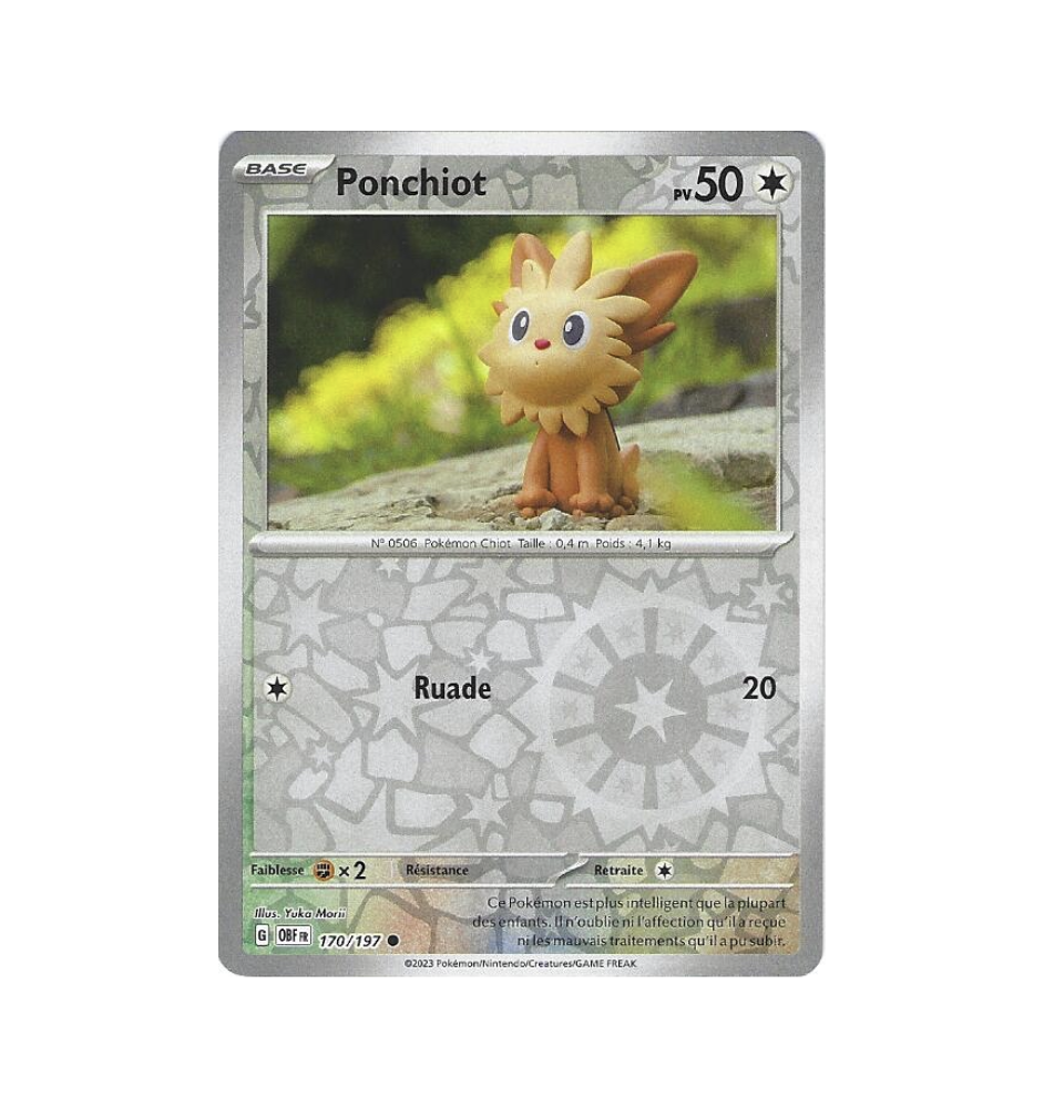 Ponchiot 170/197 Reverse