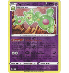 Symbios 078/195 Reverse