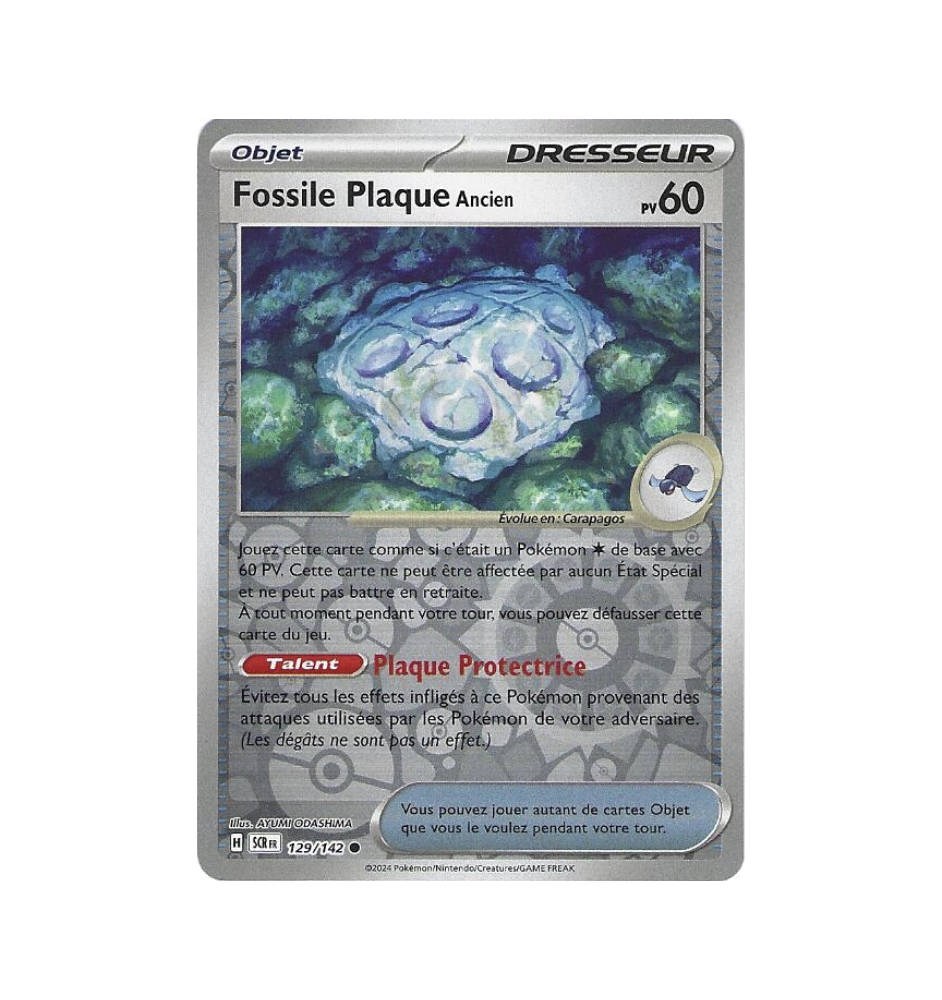 Dresseur Fossile Plaque Ancien 129/142 Reverse