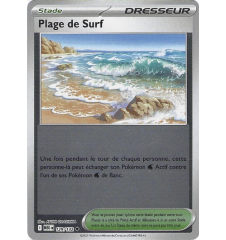 Dresseur Plage De Surf...