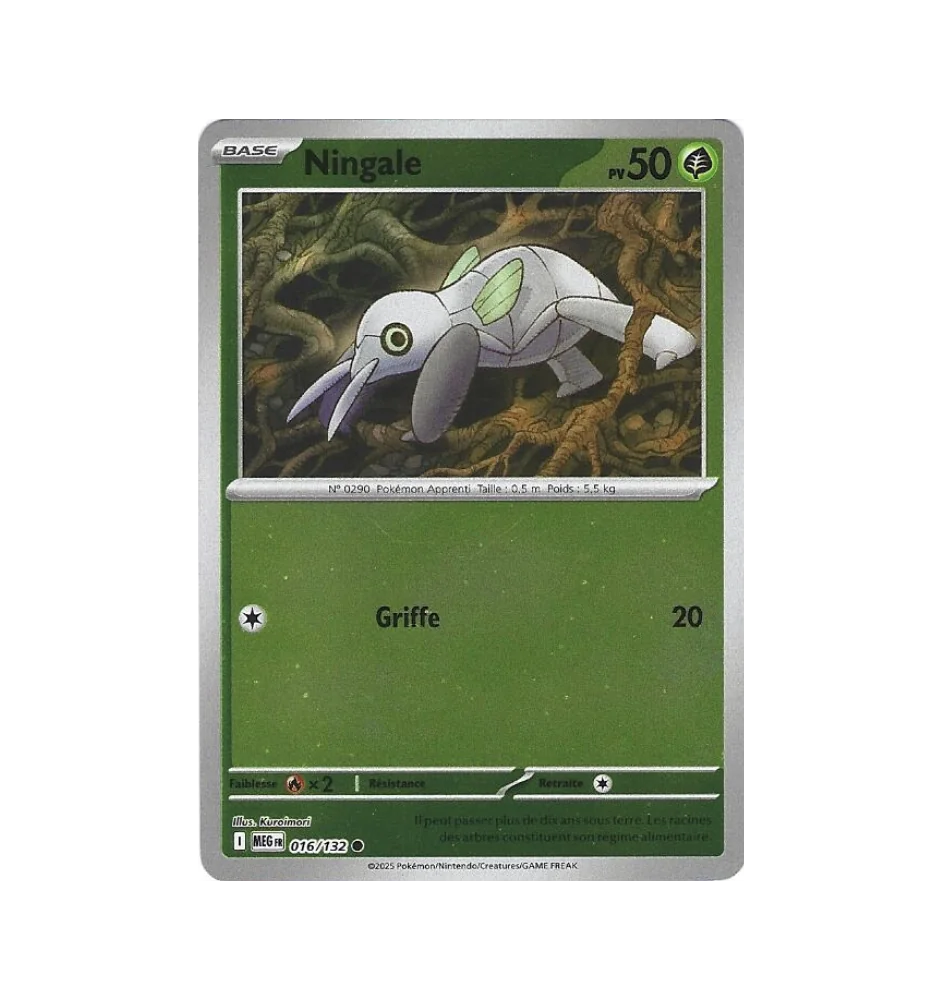 Ningale 016/132 Reverse
